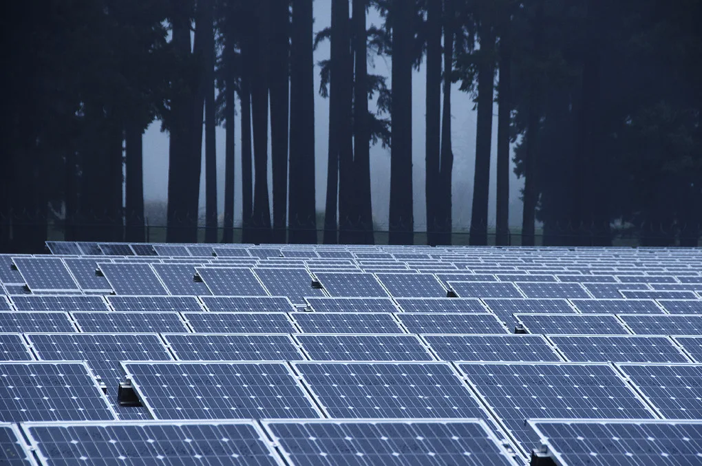 Representative image: Solar panels in the mist