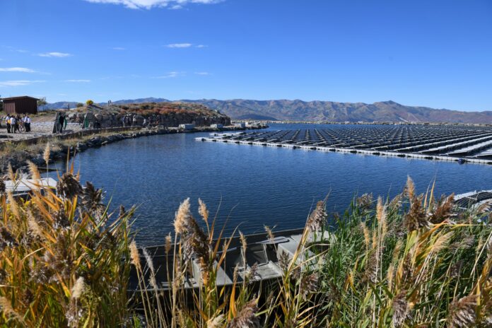 Utah's first solar array marks milestone in Summit County's sustainability efforts