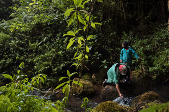 Belen Perugachi, 16, is an Indigenous Kichwa adolescent from Paquiestancia